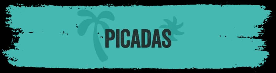 Picadas